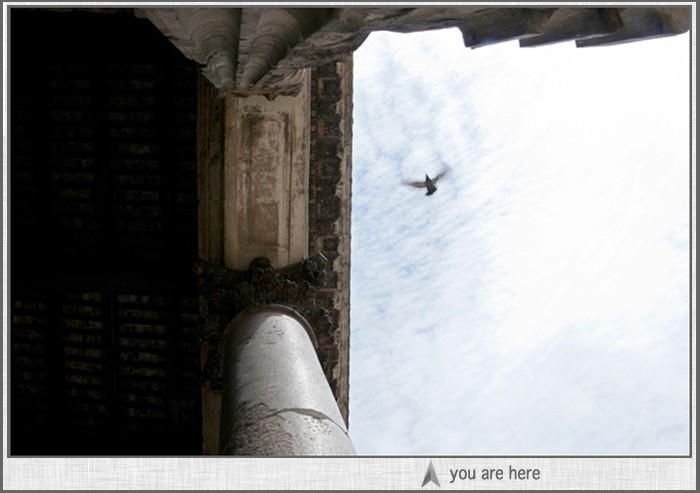 6 eighteen studios front page image: bird flying over Pantheon